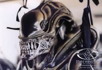 STAN WINSTON SCHOOL OF CHARACTER ARUS www.STANWINSTONSCHOOL.COM 2010 SWSCA DO NOT ODLICATE