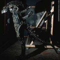 STANWINSTONSCHOOL.COM