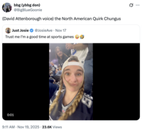 A "quote-tweet":https://knowyourmeme.com/memes/quote-retweets-qrts making fun of the Just Josie Twitter video of her dancing at a Dallas Cowboys game in November 2025.