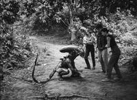 Meeting an alien in the woods