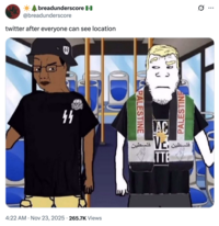 X user @breadunderscore tweeted, "twitter after everyone can see location," showing a Wojak meme featured a dark-skinned Nazi and a blond Palestine supporter.