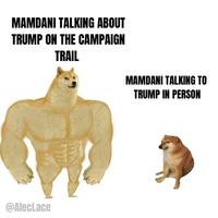 MAMDANI TALKING ABOUT TRUMP ON THE CAMPAIGN TRAIL @AlecLace MAMDANI TALKING TO TRUMP IN PERSON