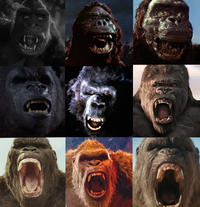 King Kong roaring 