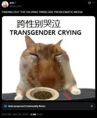 A tweet reading, "FINDING OUT THE DA VINKI TWINS ARE PROBLEMATIC MEDIA." This refers to allegations that the twins stole content from Marie Pax.