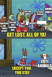 ANIME PLS CUTTING CELEBRITY GIRLS CHIVES OWORSHIP BREATHED EXPLAIN REPOSTS AIR TODAY THIS OBVIOUS AITAH? JOKE F1 imgflip.com GET LOST, ALL OF YA! CUTE ANIMALS EXCEPT YOU, YOU STAY