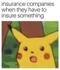 insurance companies when they have to insure something