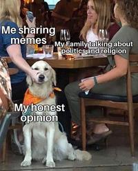 Me sharing memes My Family talking about politics and religion My honest opinion