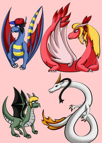 The chosen four upon using a bag on dragonite