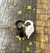 They're in love