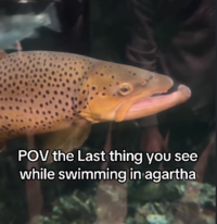 POV the Last thing you see while swimming in agartha