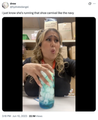 "Twitter / X":https://knowyourmeme.com/memes/sites/twitter-x @hydratedangel "reposted":https://knowyourmeme.com/memes/repost the "TikTok":https://knowyourmeme.com/memes/sites/tiktok video, captioning it, "I just know she's running that shoe carnival like the navy," which riffed on the "I Know She Be Running A McDonald's Like It's The Navy":https://knowyourmeme.com/memes/i-know-she-be-running-a-mcdonalds-like-its-the-navy "catchphrase":https://knowyourmeme.com/memes/cultures/catchphrases.
