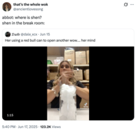 that's the whole wok @ancientlovesong abbot: where is shen? shen in the break room: Dale @dale_xcx • Jun 15 Her using a red bull can to open another wow.... her mind 1:15 5:40 PM ⚫ Jun 17, 2025 123.2K Views • baphod DITZAR DURC 291b0 K TikTok @crystalynn_8 Q :
