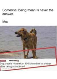 Someone: being mean is never the answer. Me: INCIDENTS THEREISNEWS Dog travels more than 100 km to bite its owner after being abandoned