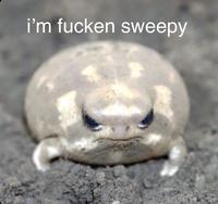 i'm fucken sweepy