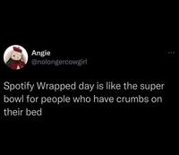 Angie @nolongercowgirl Spotify Wrapped day is like the super bowl for people who have crumbs on their bed 000