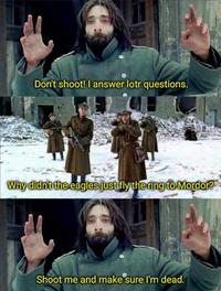 Don't shoot! I answer lotr questions. Why didn't the eagles just fly the ring to Mordor? Shoot me and make sure I'm dead.