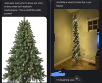 Just want everyone to know we tried to buy a tree on Facebook marketplace. This is what the seller posted: And this is what it looks like in our house -> I'm laughing soo к F