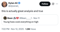 A "quote-tweet":https://knowyourmeme.com/memes/quote-retweets-qrts of the original "Young Hoes Cook Everything on High" post in November 2025.