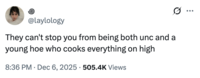 A "tweet":https://knowyourmeme.com/memes/sites/twitter-x referencing the viral Young Hoes Cook Everything on High post on Twitter / X in November 2025.
