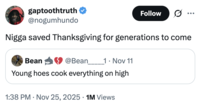 gaptoothtruth @nogumhundo Follow ☑ N---- saved Thanksgiving for generations to come Bean @Bean______1 • Nov 11 Young hoes cook everything on high • 1:38 PM Nov 25, 2025 1M Views