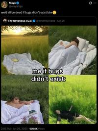A post by Maya Higa responding to a viral post about bugs not existing. She writes, "we’d all be dead if bugs didn’t exist btw."
