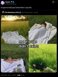 A post on Twitter. The post reads, "im gonna hold your hand when i say this," in response to a post about peacefully chilling in the grass in a world without bugs.