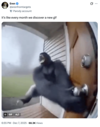 A "tweet":https://knowyourmeme.com/memes/sites/twitter-x using the "GIF":https://knowyourmeme.com/memes/cultures/gif of a "monkey":https://knowyourmeme.com/memes/monkeys-apes or gorilla flying into a tornado, which was generated using "Sora AI":https://knowyourmeme.com/memes/sites/sora-openai.
