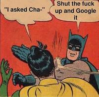 "I asked Cha-" Shut the f--- up and Google it