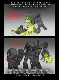 YAUTJA EGGS ARE LAID IN LARGE AMMOUNTS. AFTER BIRTH ONLY 1-3 HATCHLINGS GET TO LIVE ON ONE SURVIVES SHE IS WORTHY!) LIKE SHARKS, THE COMPETITON STARTS YOUNG, HATCHLINGS MAUL OR EAT THEIR NESTMATES. SURVIVORS ARE CONSIDERED PRODIGIES BY THE ADULTS