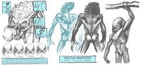Nude Protective membrane Eyelid Nostril a Ear IS behind reads" ות ו Tongue is used To clean teeth. Nuctral Entertained Distraught ☑ Mad Yautja use thier top outter mandibles, bottom outter mandibles and inner top mandibles to display complex range of emotions. As they don't have brow muscles, their expressive mouth does all the the work in the inner-species communications YAUTJA ANATOMY redesign & reimagination of PREDATOR