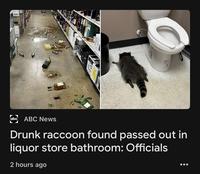 abc ABC News Drunk raccoon found passed out in liquor store bathroom: Officials 2 hours ago