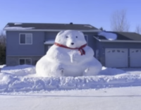 This snow bear