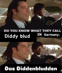 DO YOU KNOW WHAT THEY CALL Diddy blud IN Germany: Das Diddenbludden