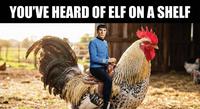 YOU'VE HEARD OF ELF ON A SHELF