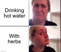 Drinking hot water imgflip.com With herbs