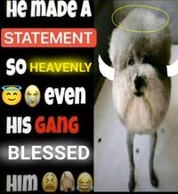 A "meme":https://knowyourmeme.com/memes/memes showing a poodle "dog":https://knowyourmeme.com/memes/subcultures/dogs and a caption reading, "He made a statement so heavenly..."