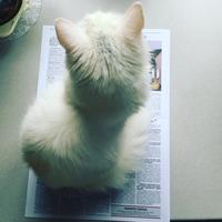 TT- T Alver Kestev Evert Kersti Vund cks on samuti d the 2010 aastal Tarv sinun ede Gümnaasium ettevore 2005 on dosi, mada ber to enda edaspidi A need on ka vallaga? ck bet ma plaane alale oleks olemas ja gimused tuleks porduksid ko us Inimeste soo nord en ma kindlas Me veedame a elust 150 arvan, et see on faktoreid eluko son Sinu meelest oluli watused, mis on meie set leidnud? rekonstrueerimi ami rajamine, Tarvas ja Tarvastu Muusi Kunstikooli uuendamine, avamine. Spust pere Tarvastu Avatud Noortekes skuse avamine. On tore, et meil see leidub vallas noori ettevitjaid ning siin on erinevaid turismita de lasid, kuhu tullakse ka pealin ndu nast ja selle Millised mälestused mee- besmeel muvad sulle esmalt Tarvastust, ca kri- kui oma lapsepalvele tagasi slava motled? Prust Cikool laise Enti sügava mulje on jätnud vanuses, mil mulle pas ning arvatavas jumalateenistused Markus Has India trha Seega ei adinu noore Kirik ob rahvast pungil this ning a leinad inimene, men ja Anna-Liisa Vaheri ajal valiud enam üksnes hilinejad ei mahtunud uksest id tuleb teha kompro nam sissep Samuti pean lagu Veel arvan, et tänapäeval iga-aastasest rongkligast Eesti Whed paljud noored maailma Vabariig aastapäeval TARVASTU TEATAJA Valjaandja Tarvastu Vallavalitsus pel 435 1810 Toimetaja Kristi Dves el 5344 8176 Kodulehekülg www.arvastu.ee E-post tarvastatarvastu.ee