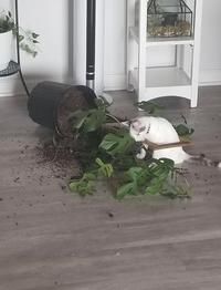 At the scene of the crime