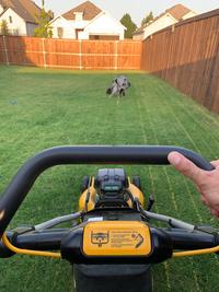 LOOD AND START/MISE EN MARCHE ANICIO 1-PRESS BUTTON AND WOLD 2-PILL BAR HANDLE APPUYEZ SUR LE BOUTON ET MAINTENEZ APPUYE ET TIRER LA POIGNÉE ETRIER PRESIONE EL BOTÓN, SOSTENGA Y JALE EL MANGO