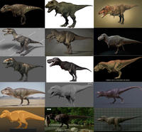 9 tterstock € shutterstock utterstock 12 shutterstock 9 9 shutterstock Shutterstoc BBC 2 NETFLIX COMBINED COLOR & DISPLACEMENT MAP RENDER