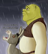 I'm melting! I'M MELTING!!!