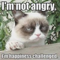I'm not angry, ROFLBOT I'm happiness challenged.