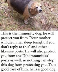 The original Immunity Dog meme. The meme grants you immunity from memes that wish harm upon you.