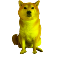 I made a yellow forward cheems. I've done the normal version before. | /r/dogelore