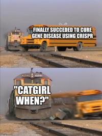 imgflip.com 2922 FINALLY SUCCEDED TO CURE GENE DISEASE USING CRISPR "CATGIRL WHEN?"