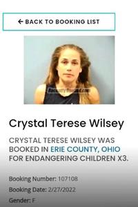 A screenshot showing that Crystal Wilsey, who went viral for being racist at Cinnabon, was arrested for child endangerment. This is alleged and not 100% verified.