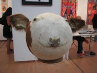 Cow ball taxidermy