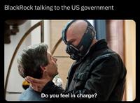 BlackRock talking to the US government Do you feel in charge?