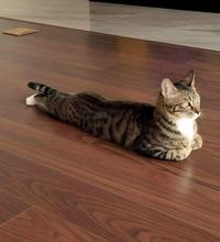 Seal mode