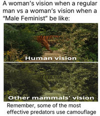A woman's vision when a regular man vs a woman's vision when a "Male Feminist" be like: Human vision Other mammals' vision Remember, some of the most effective predators use camouflage